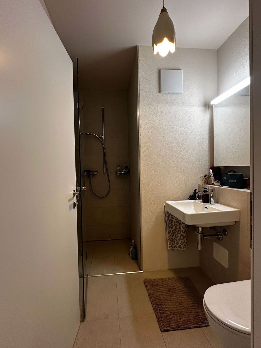 Traumhafte 4.5 Zi Dachwohnung - Nusshof BL - Bild 5