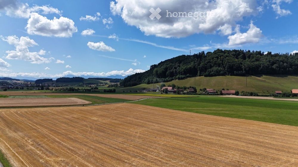 Neubauwohnungen mit Weitblick in Boll - DJI_20250709123600_0041_D