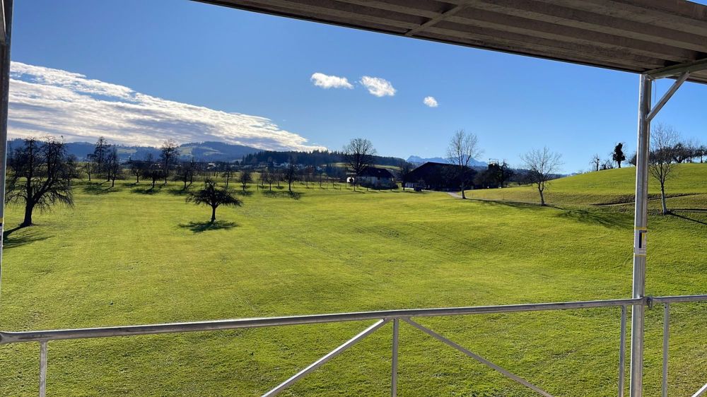 5 ½ Zimmer-Wohnung in Mörschwil mieten - Bild 3