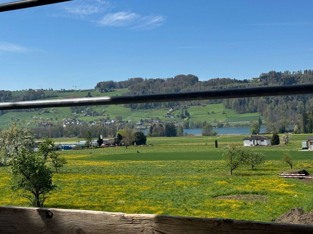 Oase am See" paradiesische 4,5 Zi. WHG mit Blick auf den Hallwilersee - Bild 8