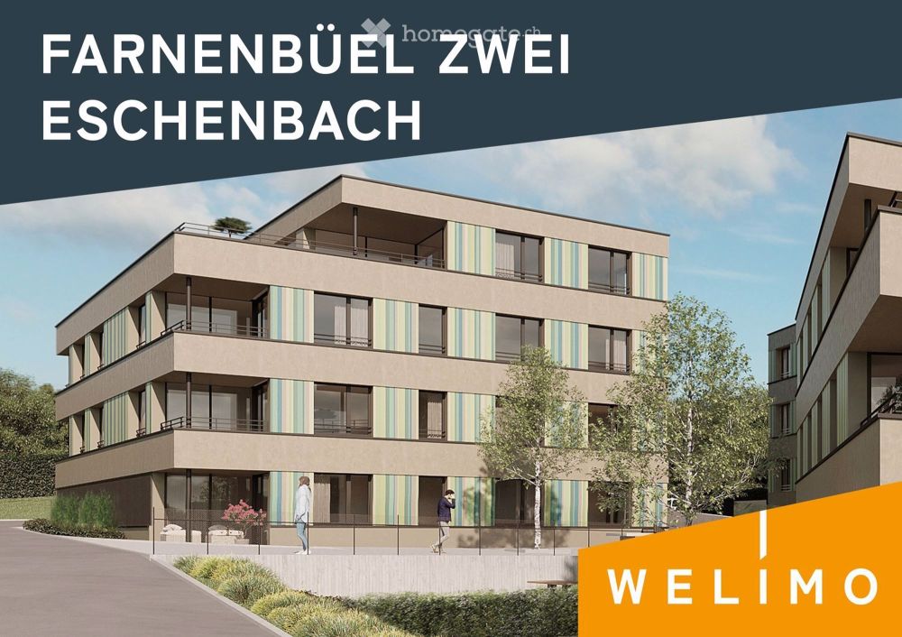 2.5-Zimmer-Neubau-Wohnung in Eschenbach SG - Bild 1