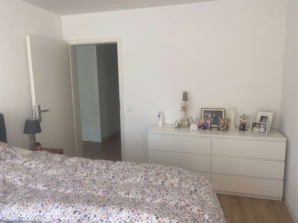 NEUBAU 3 1/2 Zimmer Wohnung zu vermieten im EG - Bild 13