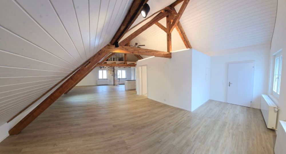 Exklusives Loft Wohnung in Thayngen - Bild 3