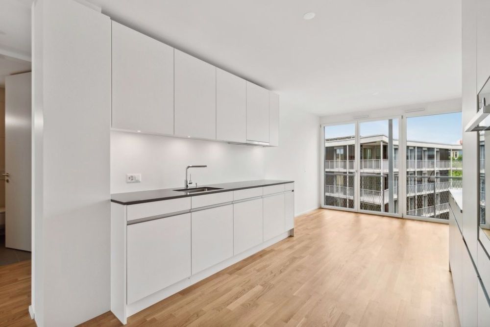 4 Zimmer-Wohnung, 8045 Zürich - backbone_507323-B_004_HD.jpg