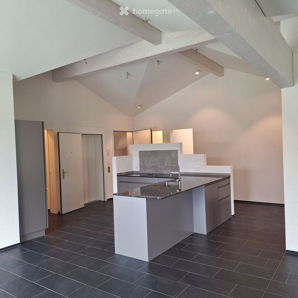 NEUBAU- Helle, grosszügige 4.5 Zimmer Dachwohnung - Bild 8