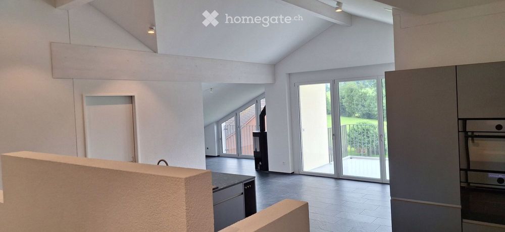 NEUBAU- Helle, grosszügige 4.5 Zimmer Dachwohnung - Bild 3