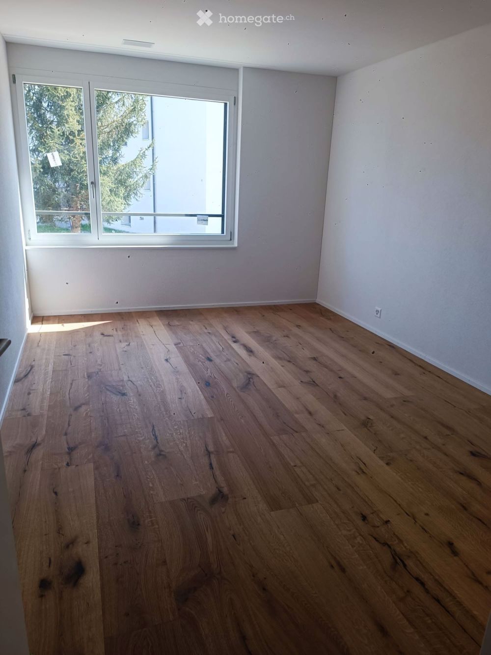 2.5 Zimmerwohnung in Reinach AG - Bild 3