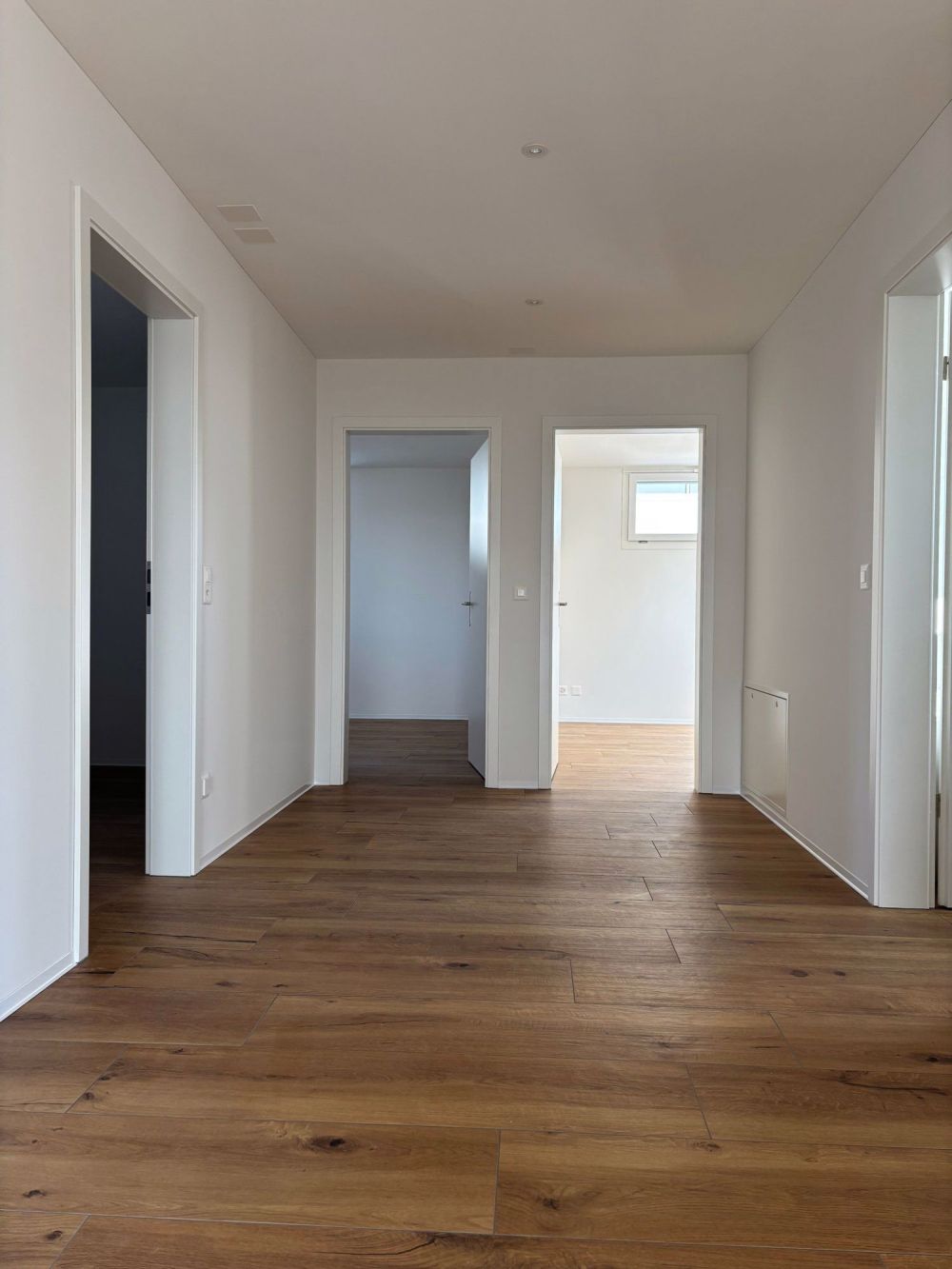 Erstvermietung im Erdgeschoss in Ins - Bild 6