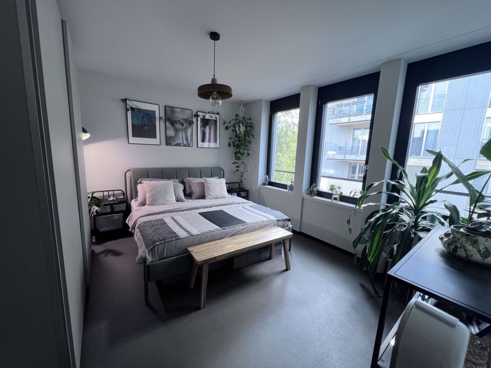 Schönes 2 1/2 Zimmer Apartment in Albisrieden, verfügbar ab 1. November - Bild 9