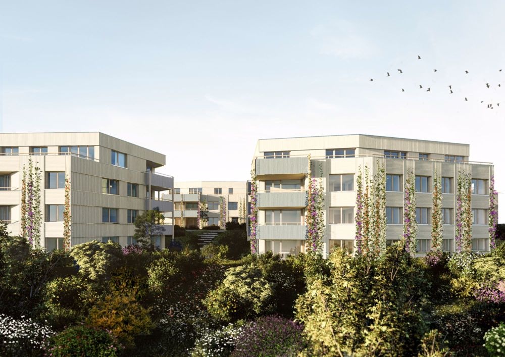 Letzte Attikawohnung - Wohnen im Einklang mit der Natur - Aussenansicht