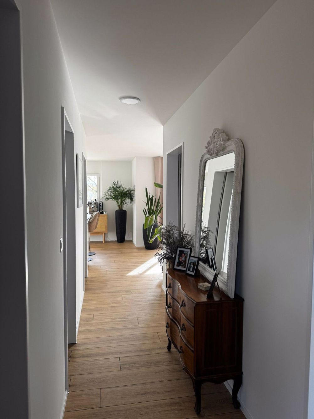 Exklusive Attikawohnung mit Weitblick und traumhafter Abendsonne - Bild 3