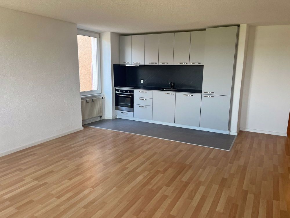 Charmantes renoviertes 2,5-Zimmer-Apartment - Bild 1
