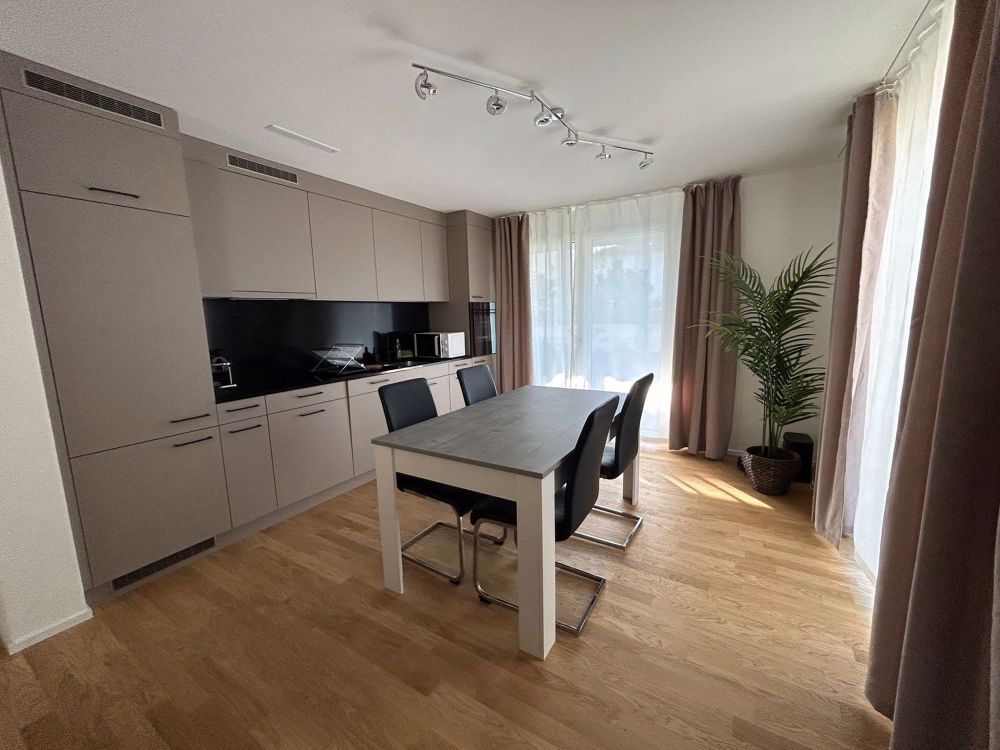 Moderne 2.5 Zimmer-Erdgeschosswohnung mit Garten - Bild 1
