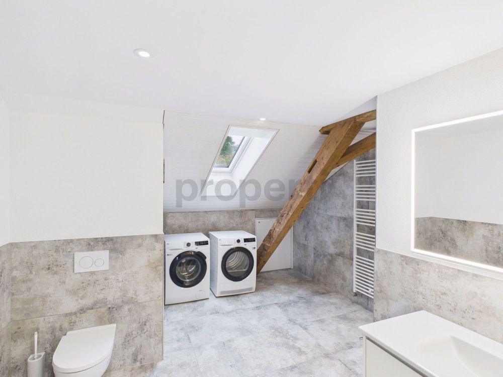 Exklusive Loft Wohnung in Thayngen - Image 6