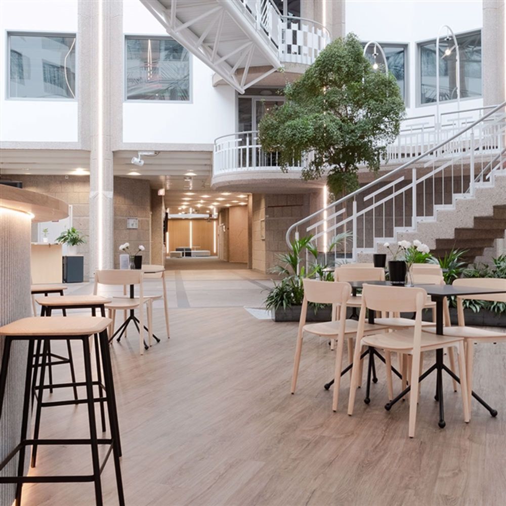 Renoviertes Studio in der Nähe von Nations, Palexpo und Genf Flughafen - Bild 11