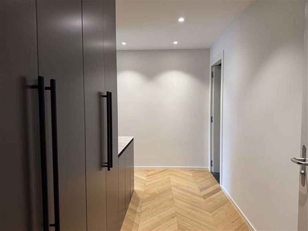 Lugano: 3.5-Zimmer-Wohnung - Ingresso