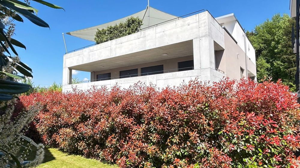 3.5 Zimmerwohnung - Bild 1