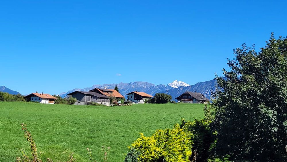 ERSTVERMIETUNG / Erdgeschosswohnung mit grosser Terrasse in sonniger und ruhiger Wohnlage - Bild 9