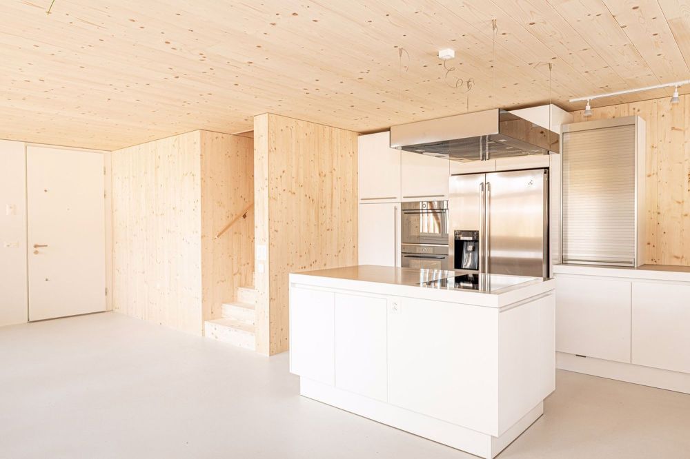 Neubau Erstbezug, modern und zugleich rustikal - PLE_3116