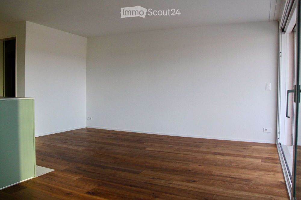 Charmante Duplex-/Maisonette-Wohnung in Oberwil mit Carport und Aussicht - Bild 8