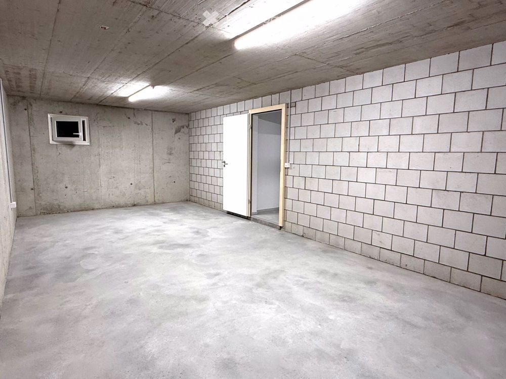 Erstbezug - neues modernes 5.5-Zi-Einfamilienhaus in Niederlenz - Bild 11