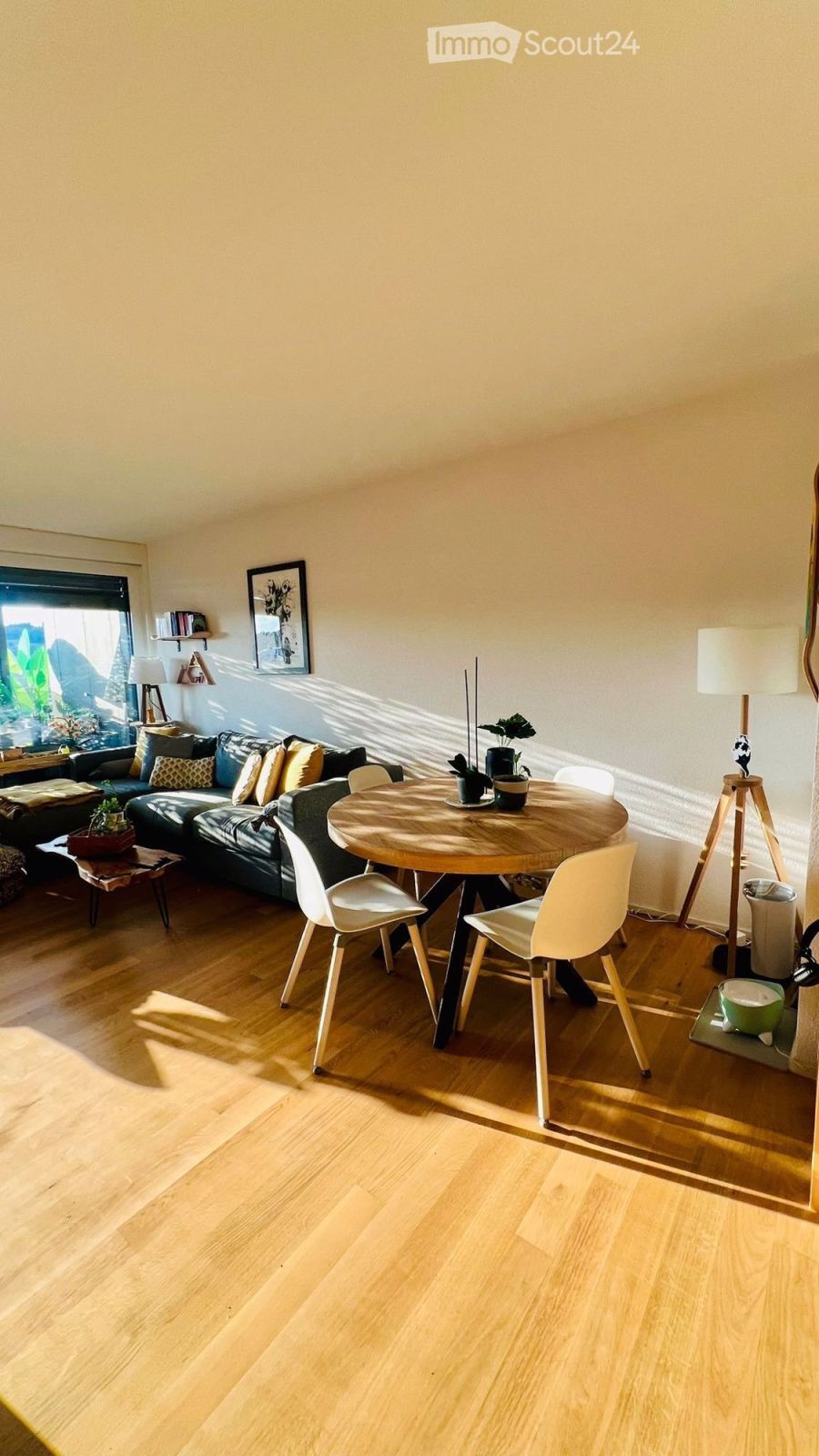 Magnifique appartement 3.5 pièces neuf avec vue à Romont FR - Bild 4