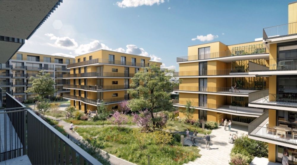 Neue 2.5 Zimmerwohnung mit Balkon - C17-101 - Bild 4