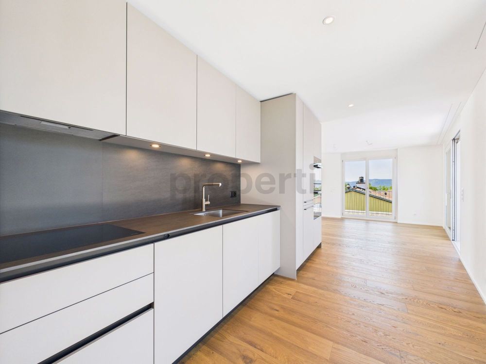 Erstbezug in Attika-Duplexwohnung mit Dachterasse mitten in Zürich-Witikon - Image 2