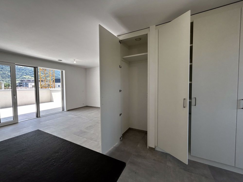 Dachgeschosswohnung mit 4.5 Zimmern in einem dynamischen Ökovieertel - Armoire pour colonne de lavage