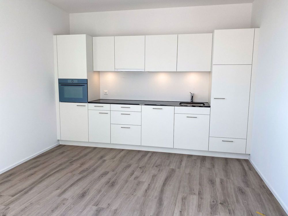 modernes lichtdurchflutetes Loft - Bild 2