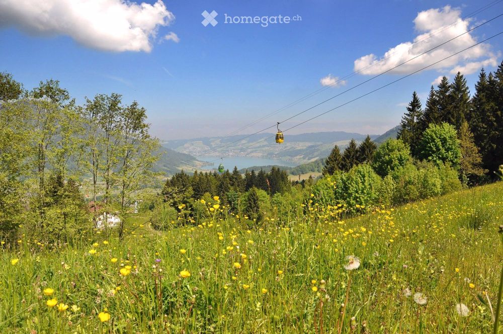 zentral, ruhig, neu - Bild 10