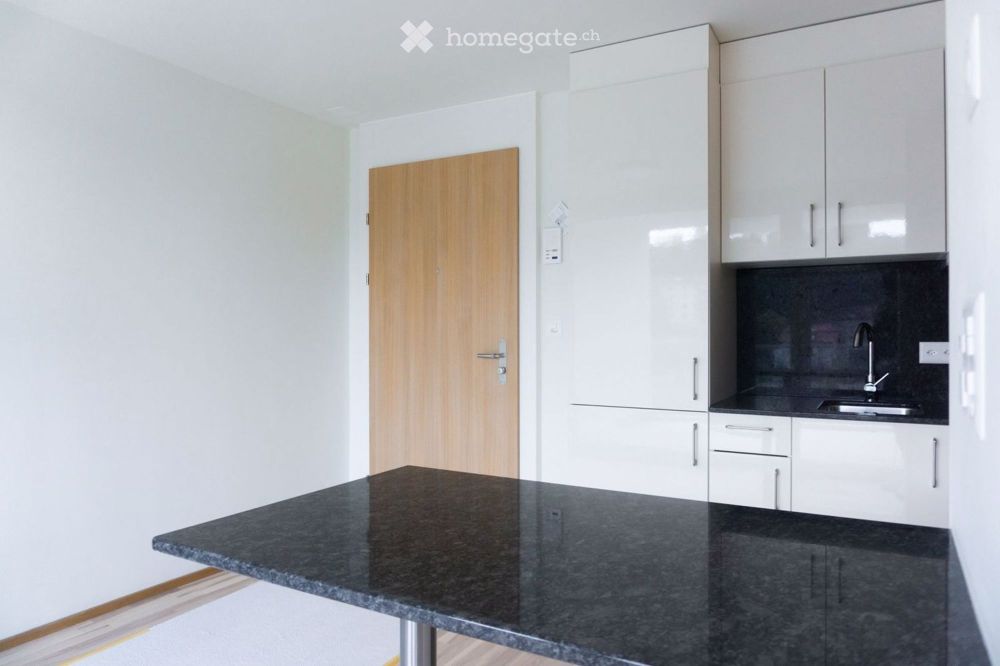 Modern 1.5-Room Apartment in Schaffhausen with Balcony - Bild 1