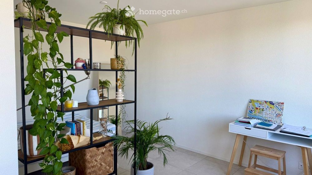 Möbliertes grosses Studio in Dübendorf - befristet - Bild 8