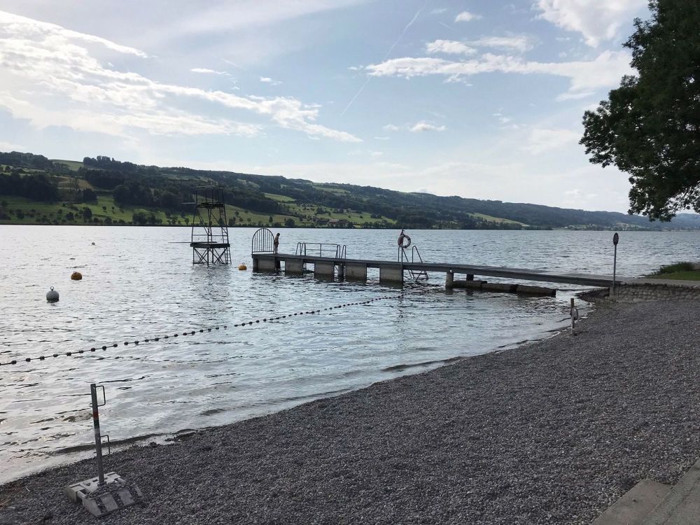 Wohnen mit Blick auf den Baldeggersee - See