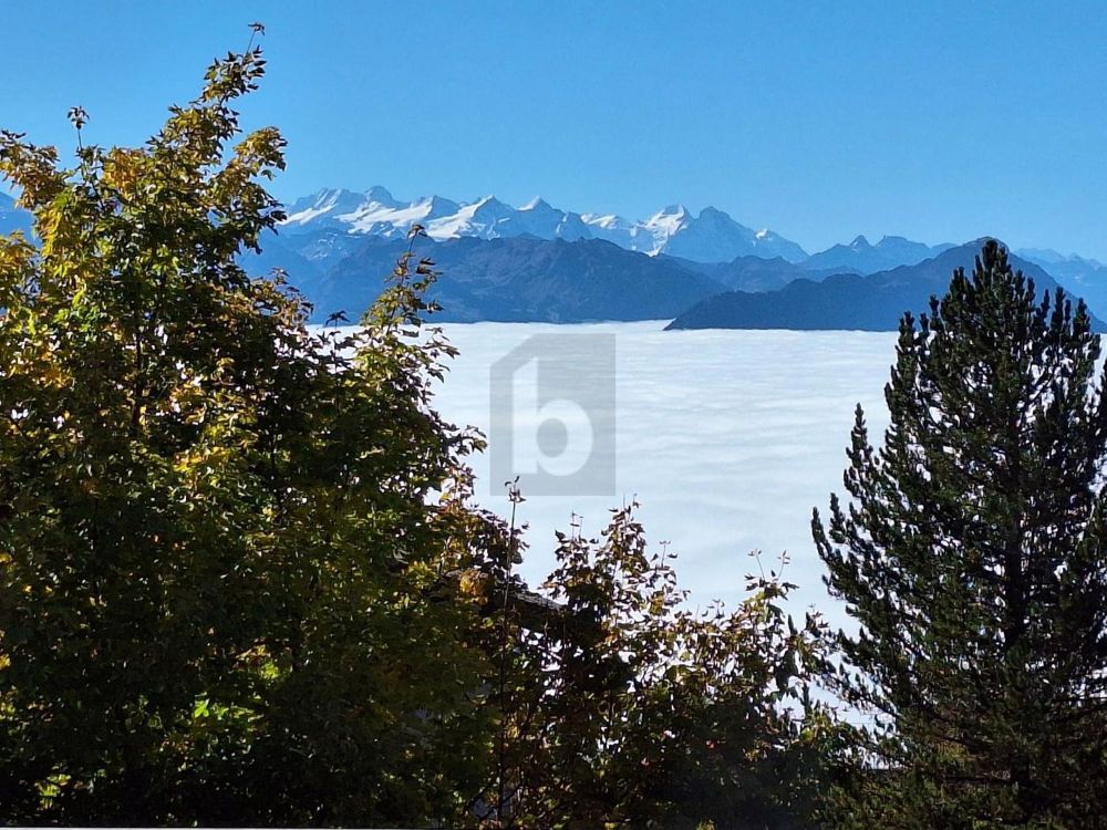 HERVORRAGENDE AUSSICHT AUF DEN RIGI - Bild 5