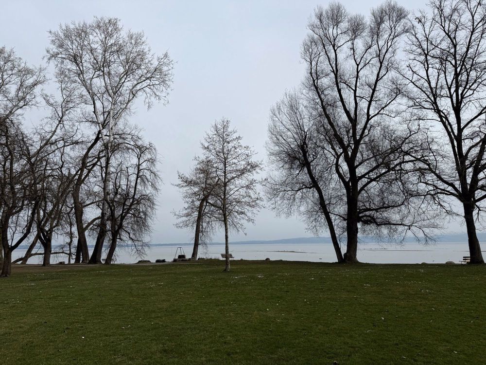 2 1/2 Zimmer - Neubau am bodensee - naturverbunden - modern - zentral - neu - Bild 3