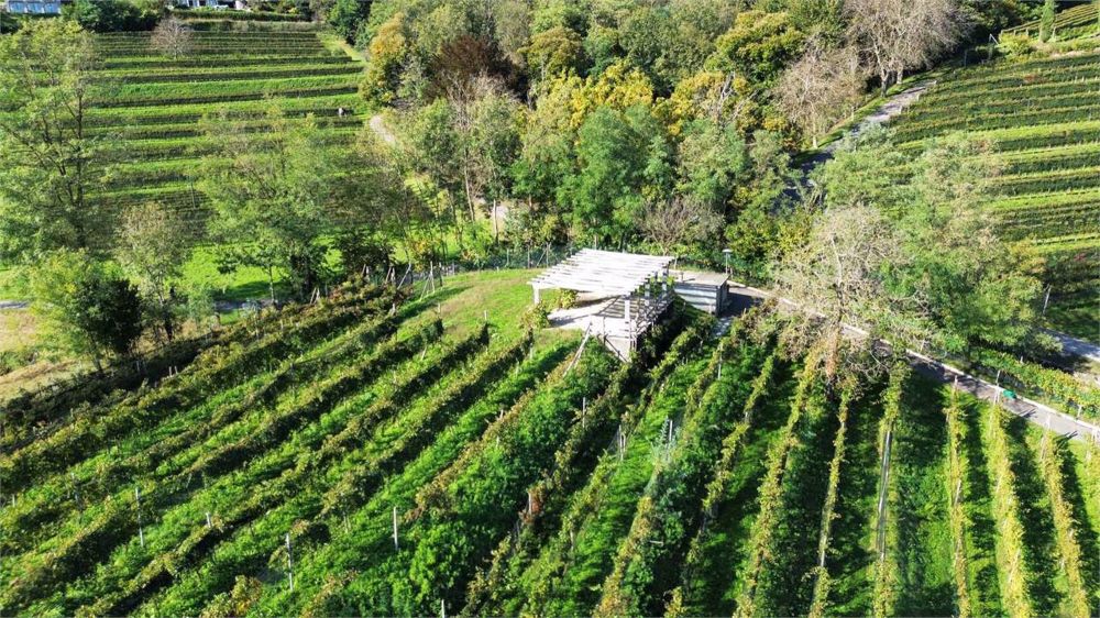 Villa auf einer Ebene in einer ruhigen Gegend - Bild 12