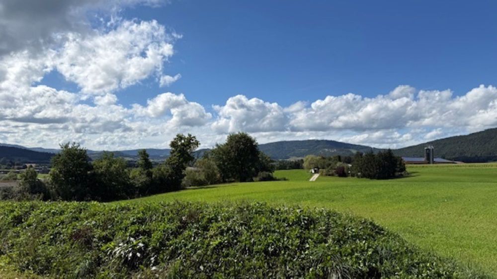 Appartement im Erdgeschoss mit superber Aussicht auf das Tal - Bild 9