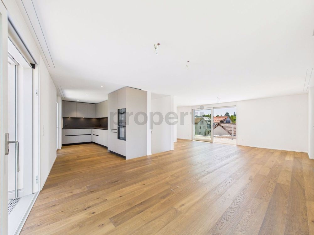 Erstbezug in Attika-Duplexwohnung mit Dachterasse mitten in Zürich-Witikon - Image 1