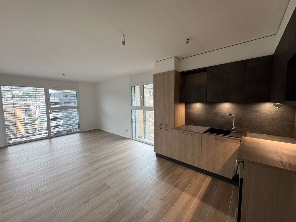 2 ½ Zimmer-Wohnung in Lugano mieten - Bild 1