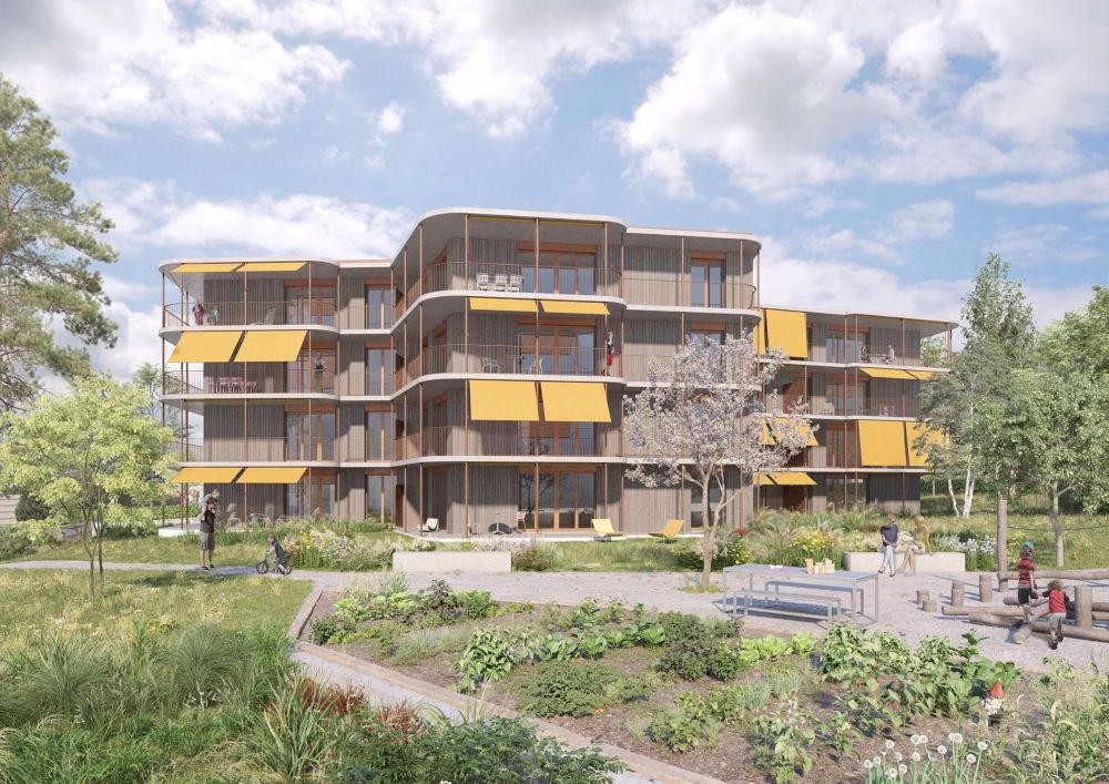 Habitat de 2.5 pièces au rez-de-chaussée - Bild 1