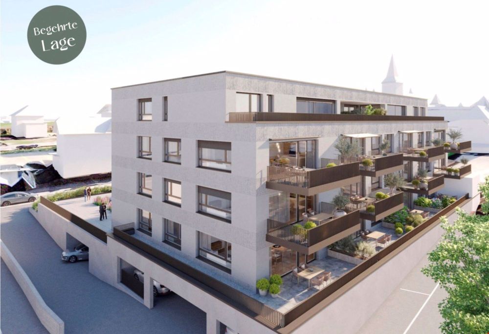 Ihre Chance - die letzte verfügbare 1x 2.5 & 2x 3.5-Zimmerwohnung - Bild 1