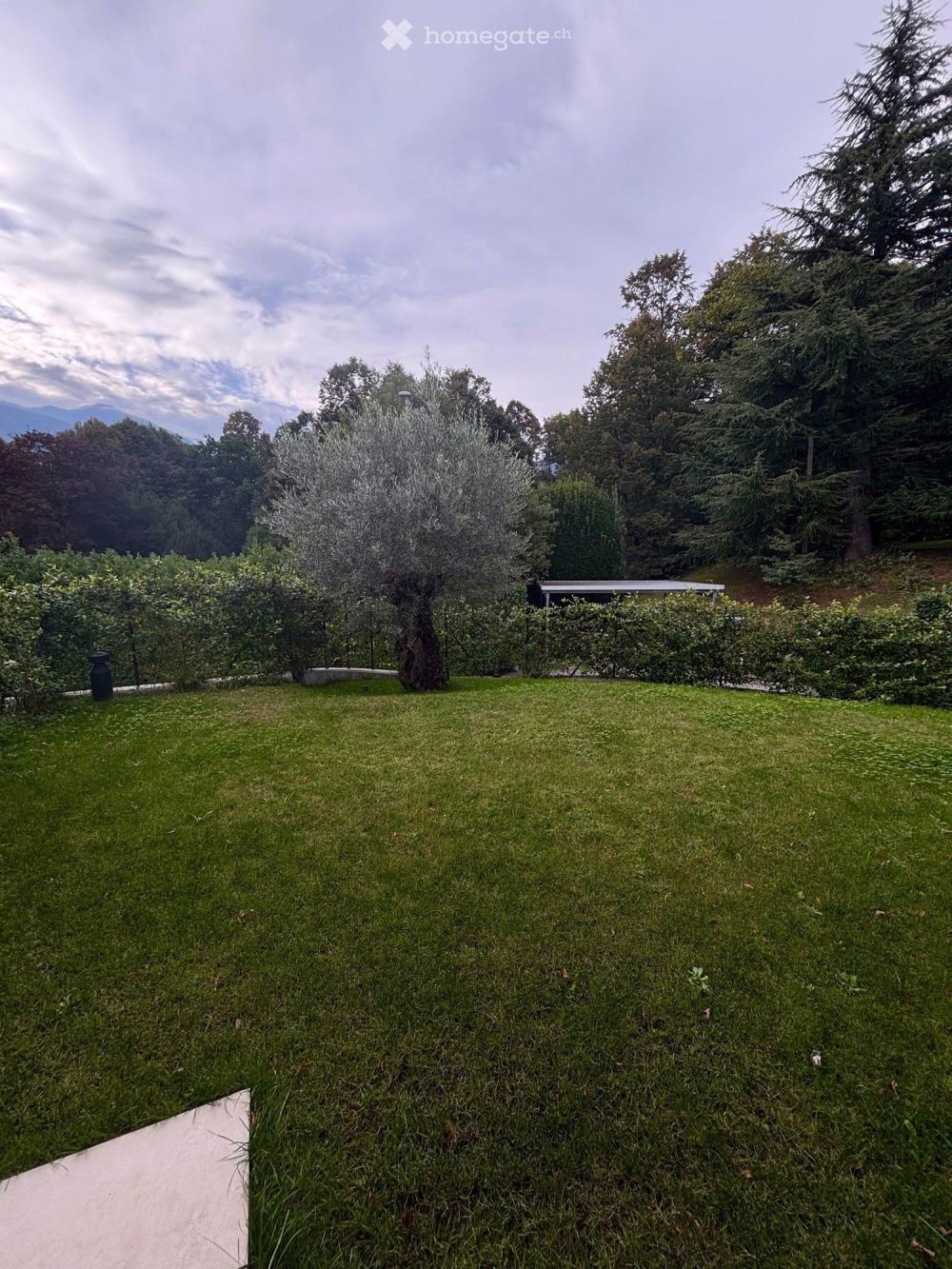 Modernes 2.5-Zimmer-Apartment mit Garten in Ponte Capriasca - Bild 5