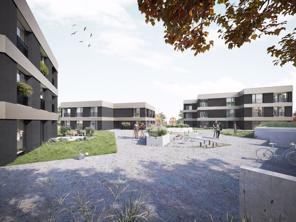 Promotion logements pour seniors. | dreamo.ch - Bild 2