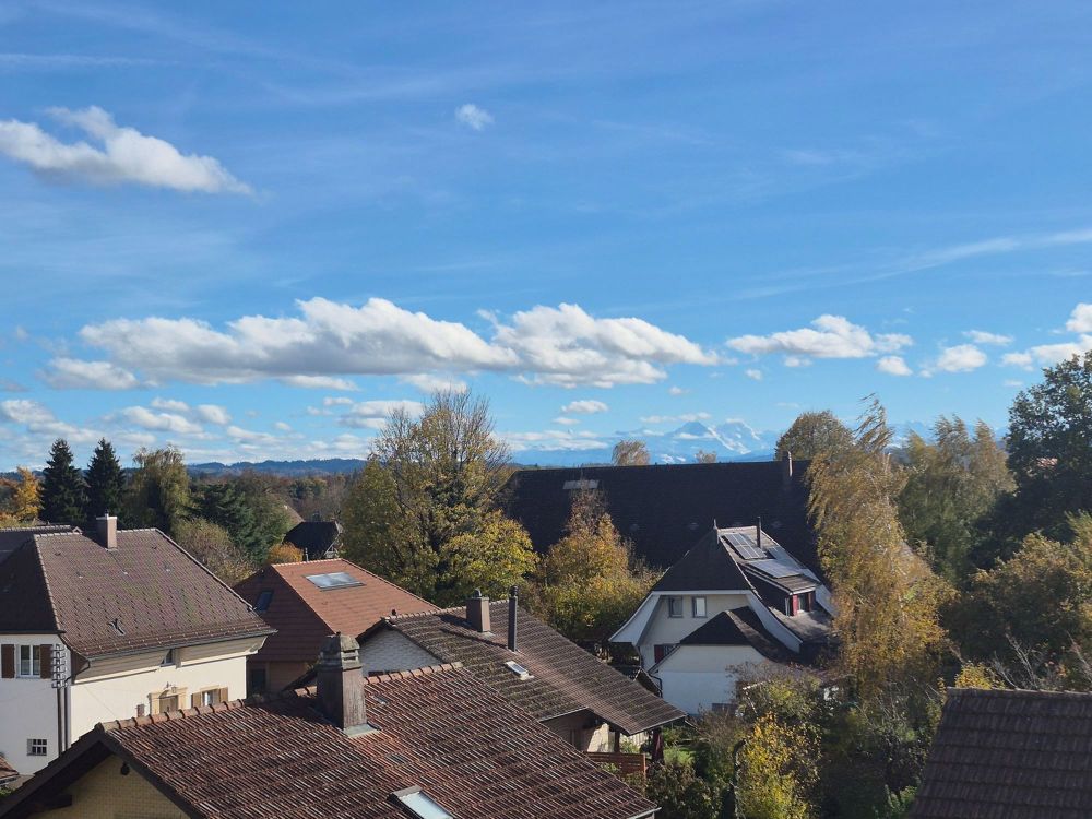 neu sanierte 4,5 Zimmerwohnung mit grossem Balkon - Bild 4