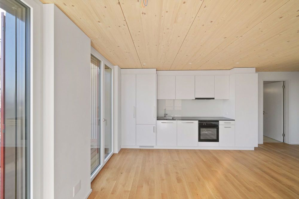 2 1/2 Zimmer - Neubau am bodensee - naturverbunden - modern - zentral - neu - Bild 11