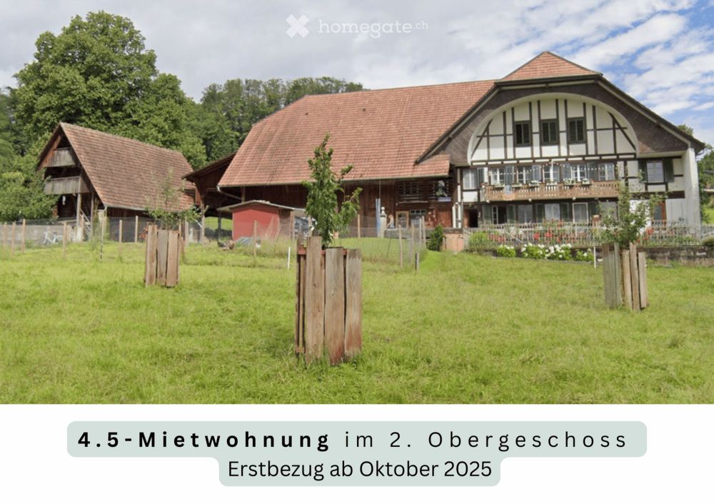 Moderne 4.5-Zimmer-Wohnung mit Balkon in Buchegg (Erstbezug) - Bild 1