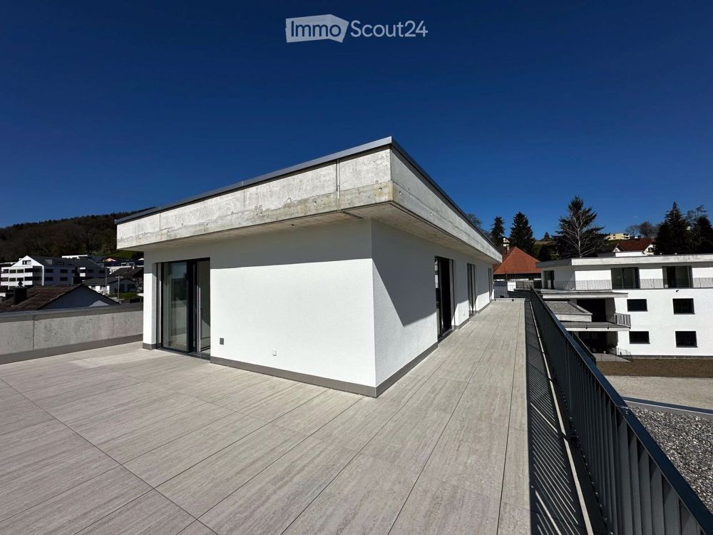 Moderne 4.5-Zimmer-Attikawohnung - Neubau 2025 (Erstbezug) - Bild 2