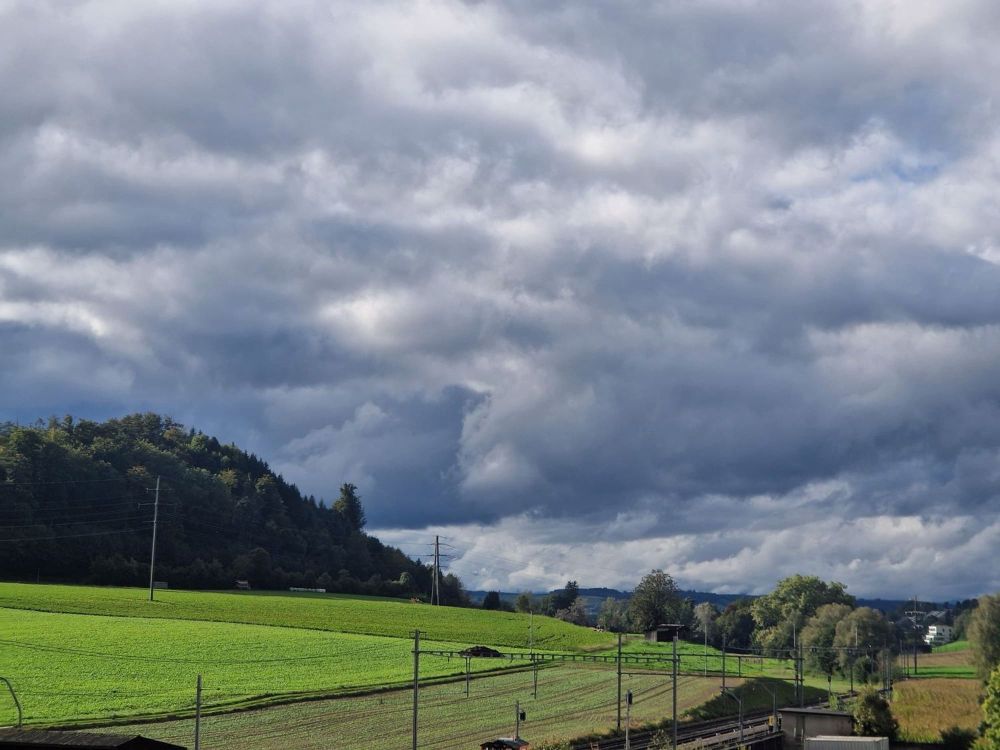 Grosszügige 3-Raum Loft im beliebten Bernapark - Bild 7
