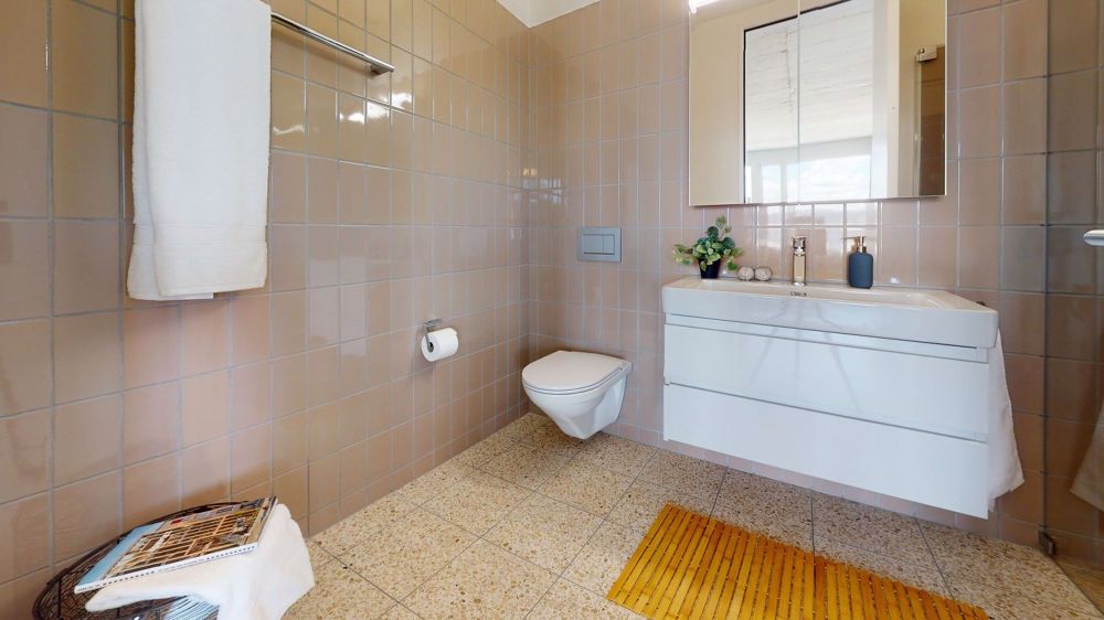 Exklusives Loft-Wohnen im Herzen des Dreispitz Basel - Bild 8